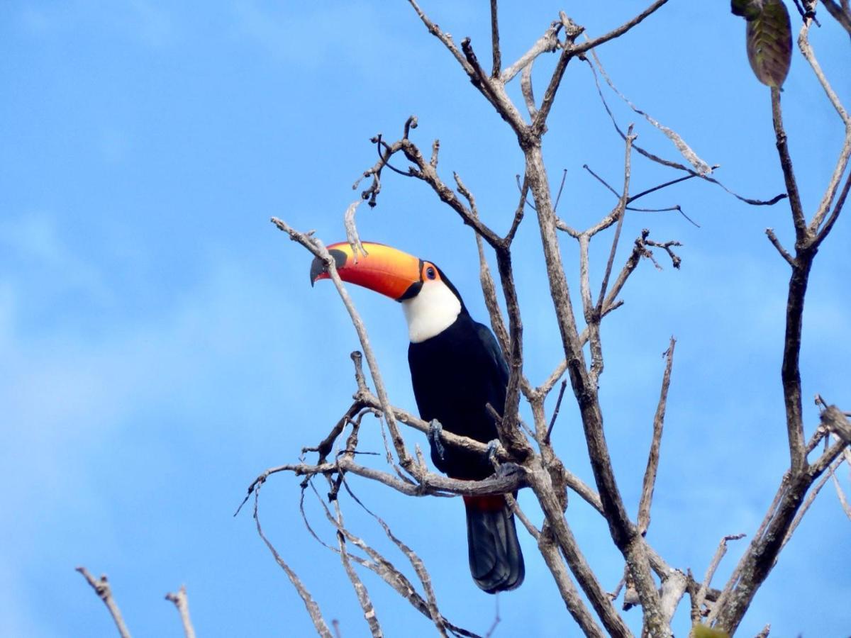 Fazenda Sao Bento Alto Paraiso de Goias
