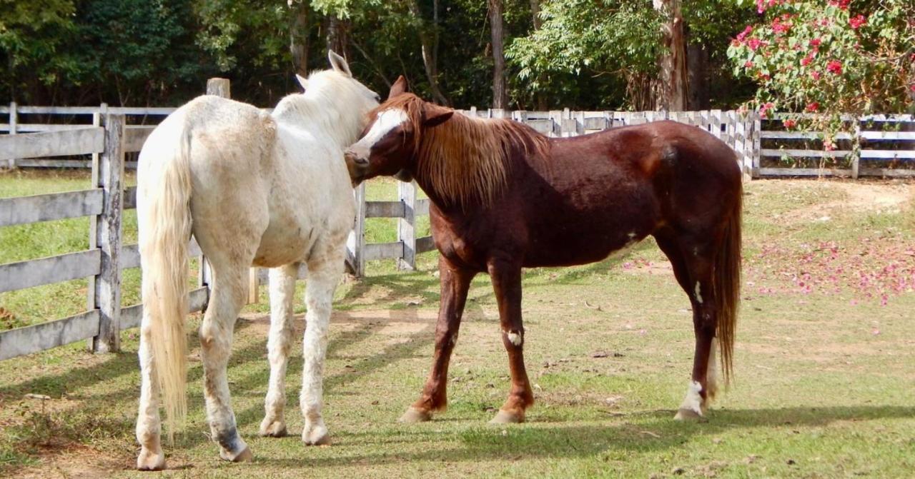 Fazenda Sao Bento Farm stay Alto Paraiso de Goias