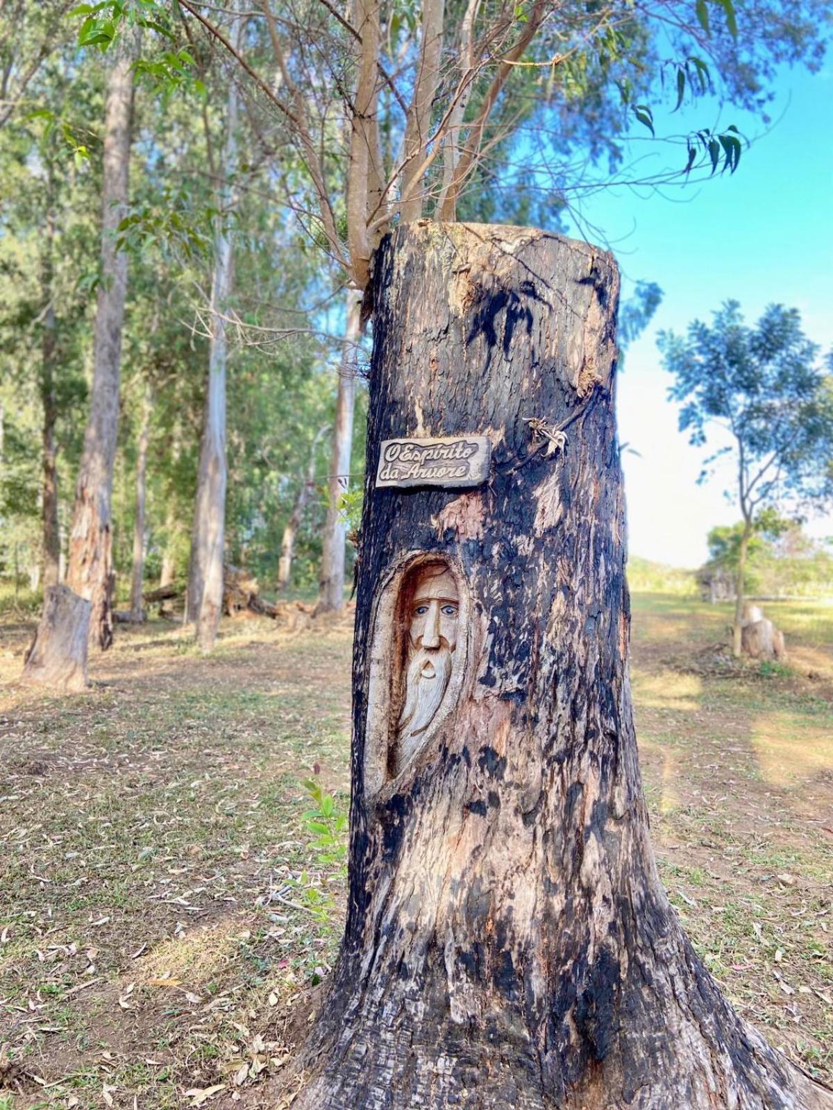 Fazenda Sao Bento